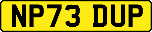 NP73DUP