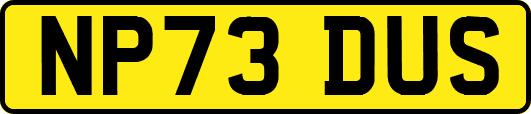NP73DUS