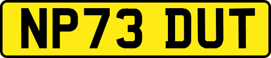 NP73DUT