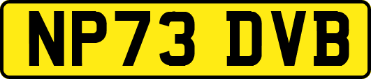 NP73DVB