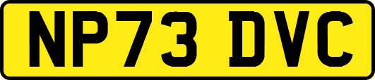 NP73DVC