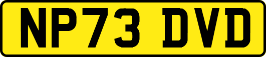 NP73DVD