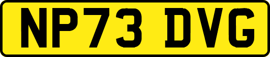 NP73DVG