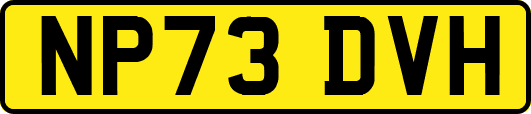 NP73DVH