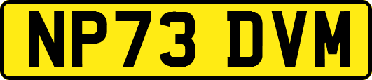 NP73DVM