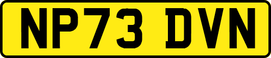 NP73DVN