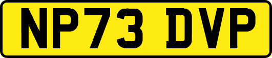 NP73DVP