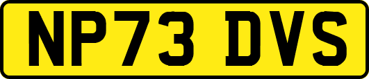 NP73DVS
