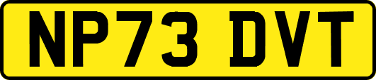 NP73DVT