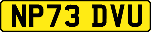 NP73DVU