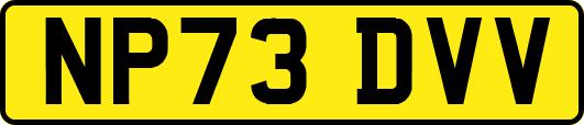 NP73DVV