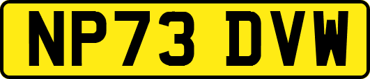 NP73DVW