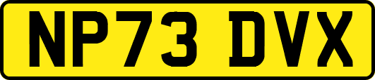 NP73DVX