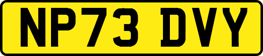 NP73DVY