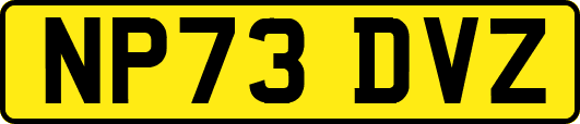 NP73DVZ