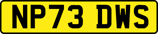 NP73DWS