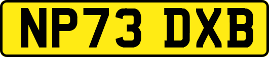 NP73DXB