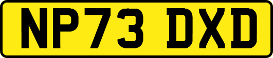 NP73DXD