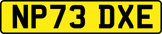 NP73DXE