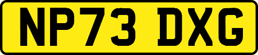 NP73DXG