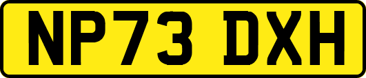 NP73DXH