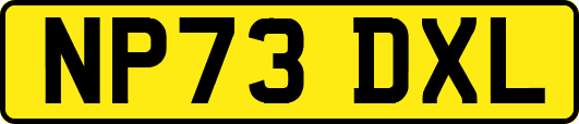 NP73DXL