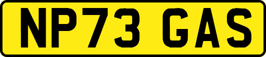NP73GAS