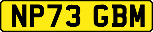 NP73GBM