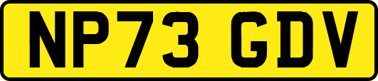NP73GDV