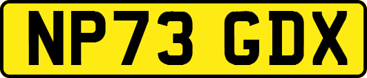 NP73GDX