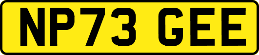 NP73GEE