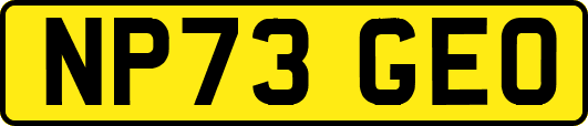 NP73GEO
