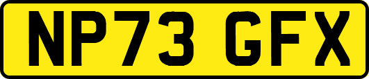 NP73GFX