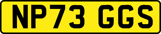 NP73GGS