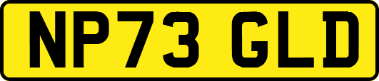 NP73GLD