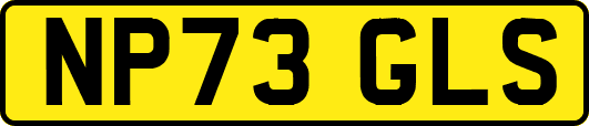 NP73GLS