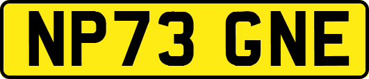 NP73GNE