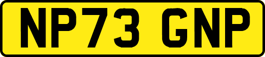 NP73GNP
