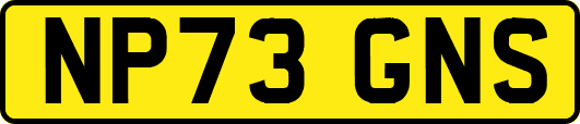 NP73GNS