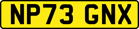 NP73GNX