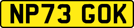 NP73GOK