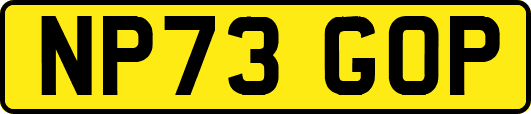 NP73GOP