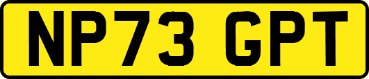 NP73GPT