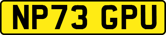 NP73GPU