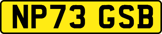 NP73GSB
