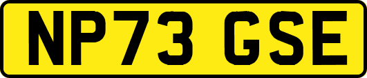 NP73GSE