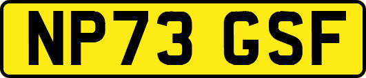 NP73GSF