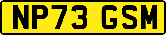 NP73GSM