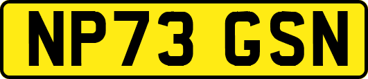 NP73GSN