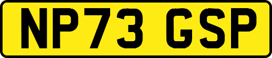 NP73GSP